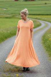 Grusväg genom ängar