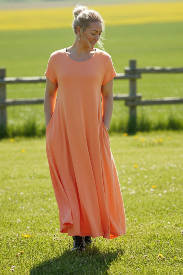 Åkermark med staket